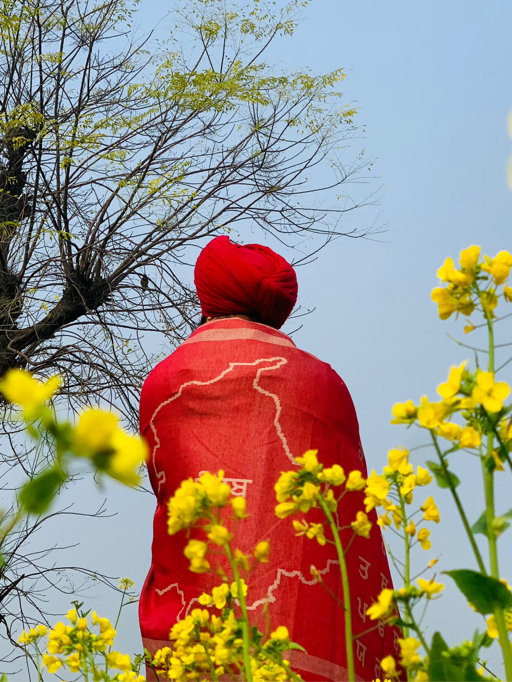 'Main Hoon ਪੰਜਾਬ' / I am Panjab Shawl 